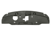 Decorative/protection panel, bumper