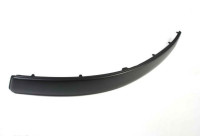 Decorative/protection panel, bumper