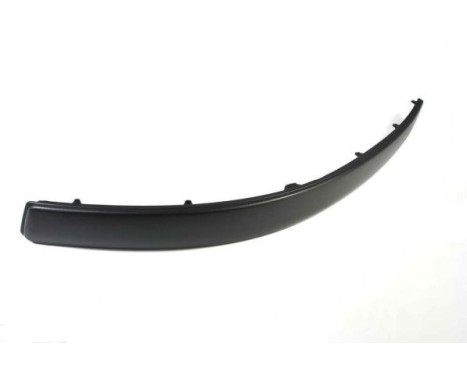 Decorative/protection panel, bumper