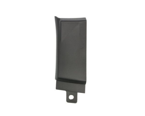 Decorative/protection panel, bumper