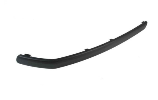 Decorative/protection panel, bumper