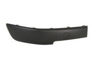 Decorative/protection panel, bumper