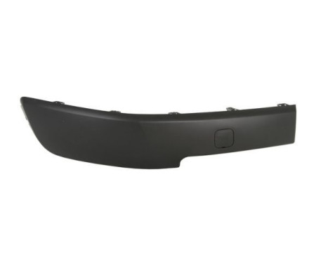 Decorative/protection panel, bumper
