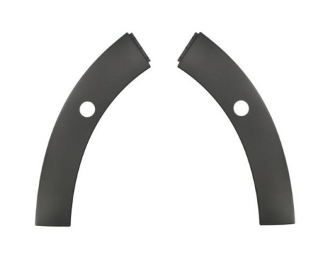 Decorative/protection panel, bumper