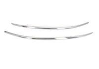 Decorative/protection panel, bumper