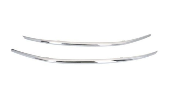 Decorative/protection panel, bumper