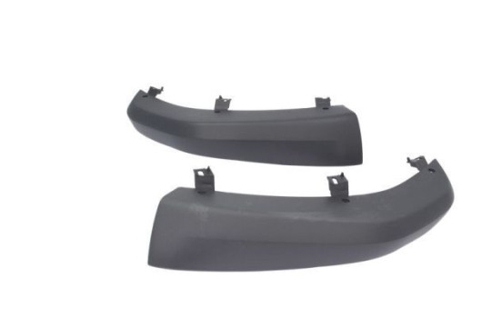 Decorative/protection panel, bumper