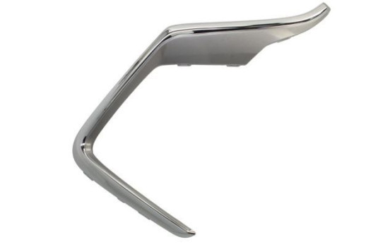 Decorative/protection panel, bumper