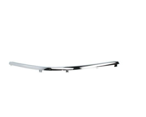 Decorative/protection panel, bumper