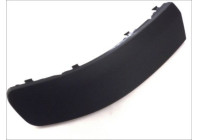 Decorative/protection panel, bumper