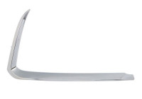 Decorative/protection panel, bumper