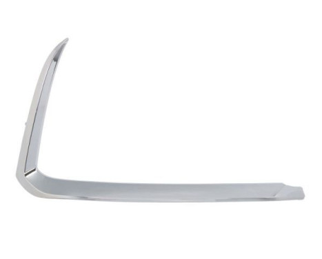 Decorative/protection panel, bumper