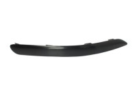 Decorative/protection panel, bumper