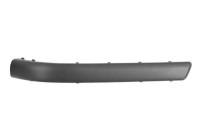 Decorative/protection panel, bumper