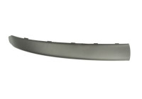 Decorative/protection panel, bumper