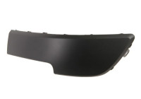 Decorative/protection panel, bumper
