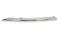 Decorative/protection panel, bumper