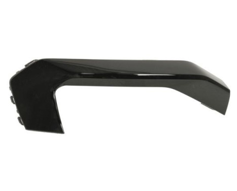 Decorative/protection panel, bumper