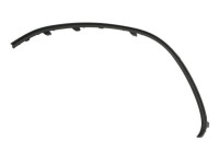 Decorative/protection panel, bumper