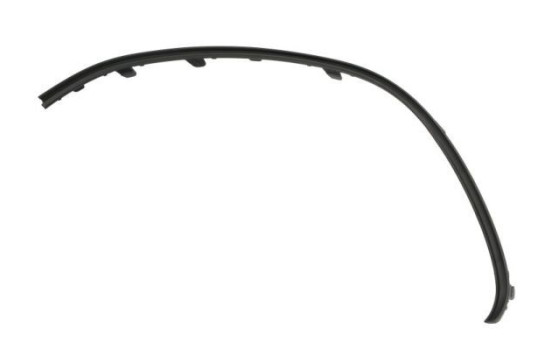 Decorative/protection panel, bumper