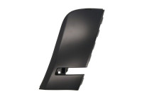 Decorative/protection panel, bumper