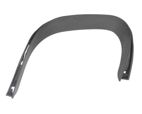 Decorative/protection panel, bumper