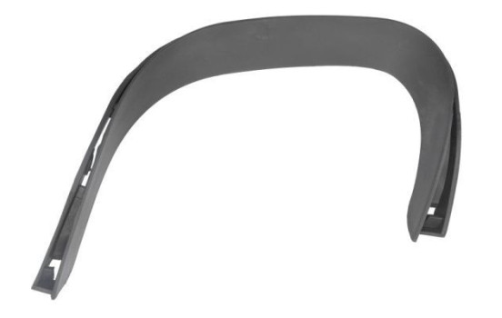 Decorative/protection panel, bumper