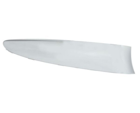 Decorative/protection panel, bumper