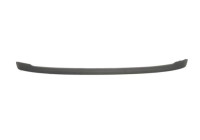 Decorative/protection panel, bumper