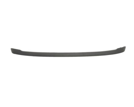 Decorative/protection panel, bumper
