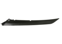 Decorative/protection panel, bumper