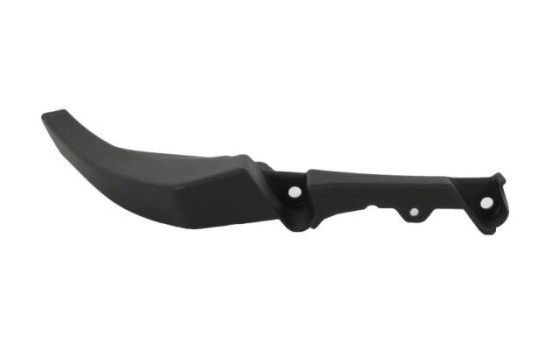 Decorative/protection panel, bumper