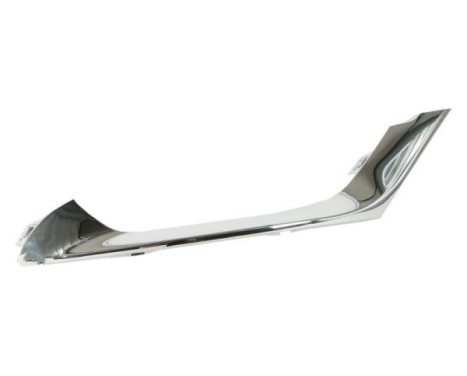 Decorative/protection panel, bumper