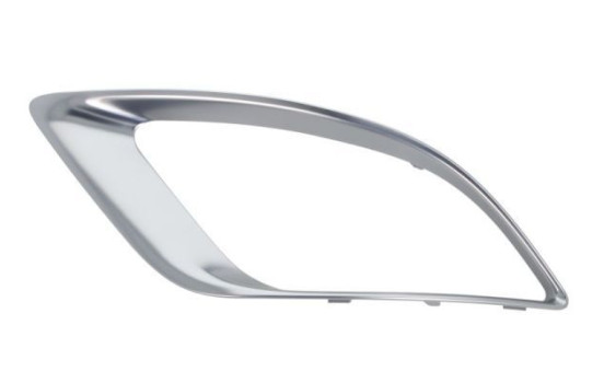 Decorative/protection panel, bumper