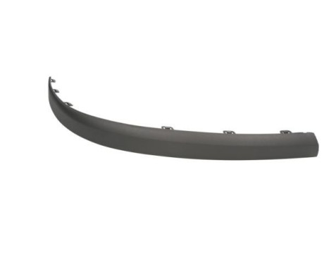 Decorative/protection panel, bumper