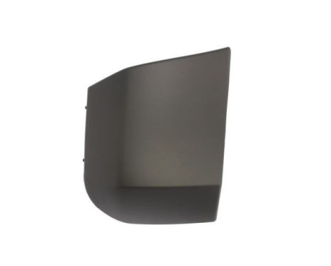 Decorative/protection panel, bumper