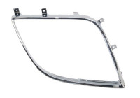 Decorative/protection panel, bumper