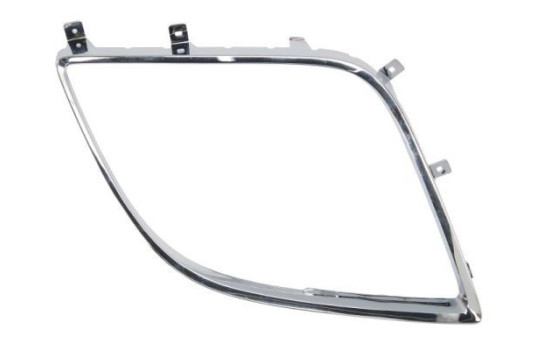 Decorative/protection panel, bumper