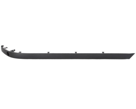 Decorative/protection panel, bumper
