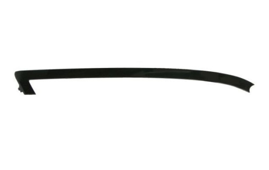 Decorative/protection panel, bumper