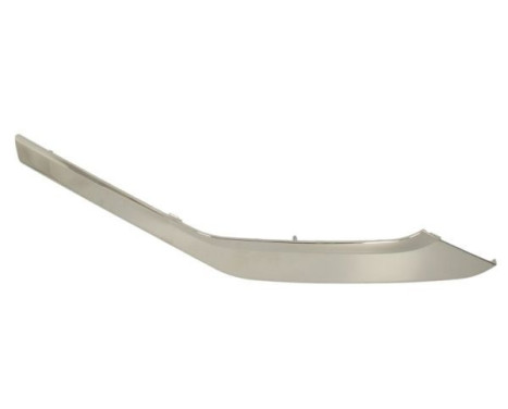 Decorative/protection panel, bumper