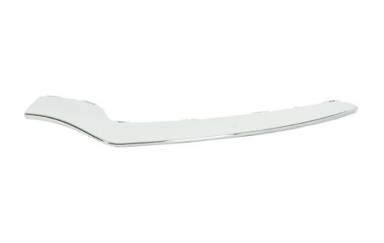 Decorative/protection panel, bumper