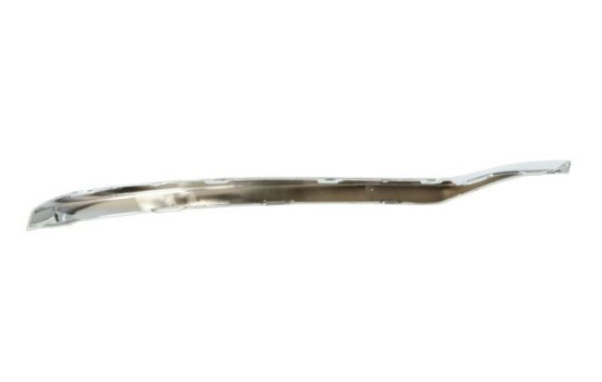 Decorative/protection panel, bumper, Image 2