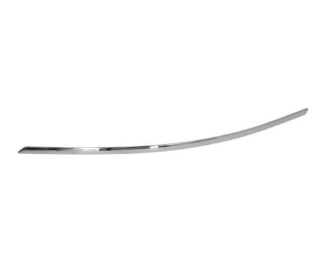 Decorative/protection panel, bumper
