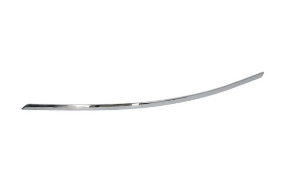 Decorative/protection panel, bumper