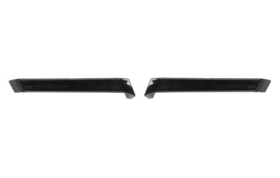 Decorative/protection panel, bumper