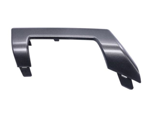 Decorative/protection panel, bumper