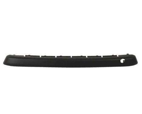 Decorative/protection panel, bumper