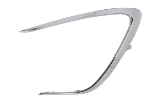 Decorative/protection panel, bumper