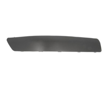Decorative/protection panel, bumper